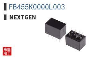 FB455K0000L003 ͼƬ