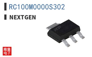 RC100M0000S302 ͼƬ