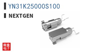 YN31K25000S100 ͼƬ