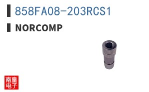 858FA08-203RCS1 ͼƬ