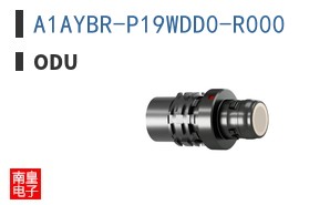 A1AYBR-P19WDD0-R000 ͼƬ