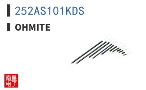 252AS101KDS ͼƬ