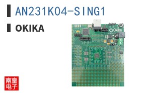 AN231K04-SING1 ͼƬ
