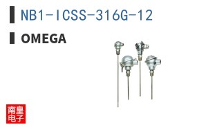 NB1-ICSS-316G-12 ͼƬ