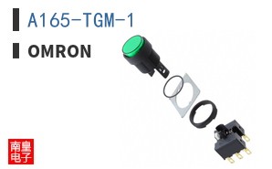 A165-TGM-1 ͼƬ