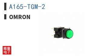 A165-TGM-2 ͼƬ