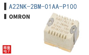 A22NK-2BM-01AA-P100 ͼƬ
