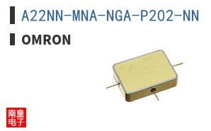 A22NN-MNA-NGA-P202-NN ͼƬ