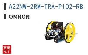 A22NW-2RM-TRA-P102-RB ͼƬ