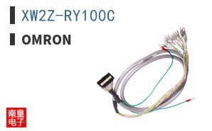 XW2Z-RY100C ͼƬ