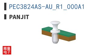 PEC3824AS-AU_R1_000A1 ͼƬ