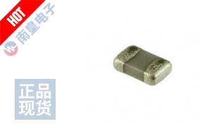 ECJ-GVB1A106M 图片