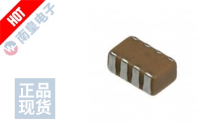 ECJ-TVC1H101K 图片