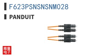 F623PSNSNSNM028 ͼƬ