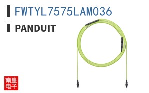 FWTYL7575LAM036 ͼƬ