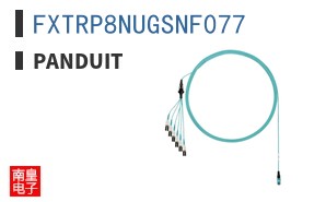 FXTRP8NUGSNF077 ͼƬ