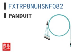 FXTRP8NUHSNF082 ͼƬ