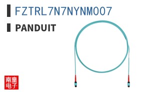 FZTRL7N7NYNM007 ͼƬ