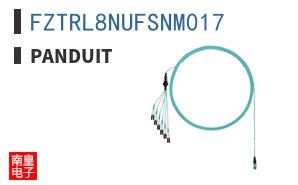 FZTRL8NUFSNM017 ͼƬ
