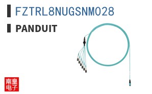 FZTRL8NUGSNM028 ͼƬ