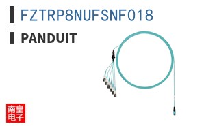 FZTRP8NUFSNF018 ͼƬ