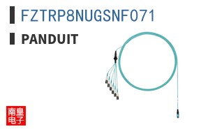 FZTRP8NUGSNF071 ͼƬ