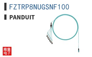 FZTRP8NUGSNF100 ͼƬ