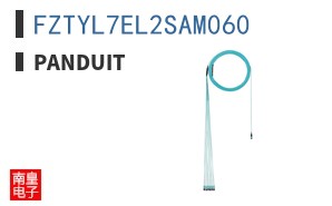 FZTYL7EL2SAM060 ͼƬ