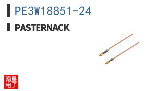PE3W18851-24 ͼƬ