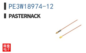 PE3W18974-12 ͼƬ