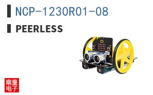 NCP-1230R01-08 ͼƬ