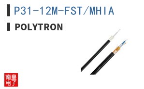 P31-12M-FST/MHIA ͼƬ