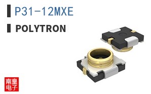 P31-12MXE ͼƬ