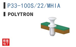 P33-100S/22/MHIA ͼƬ