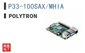 P33-100SAX/MHIA ͼƬ
