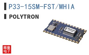 P33-15SM-FST/MHIA ͼƬ