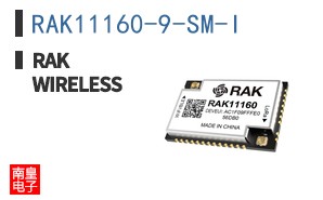 RAK11160-9-SM-I ͼƬ