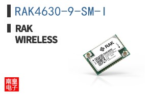 RAK4630-9-SM-I ͼƬ