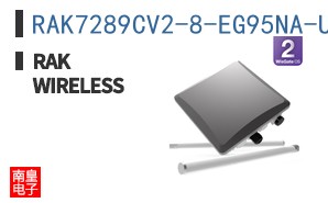 RAK7289CV2-8-EG95NA-US915 ͼƬ