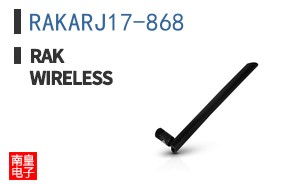 RAKARJ17-868 ͼƬ