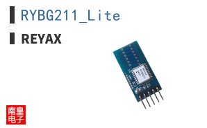 RYBG211_Lite ͼƬ