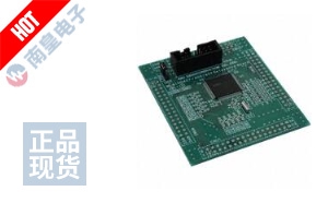 ML610Q408 REFBOARD ͼƬ
