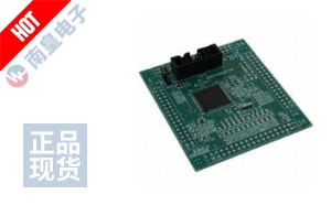 ML610Q422 REFBOARD ͼƬ