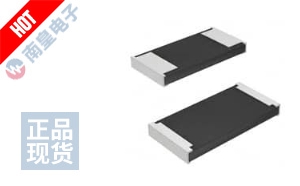 PMR100HZPJU10L 图片