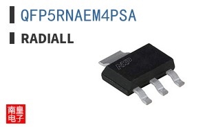 QFP5RNAEM4PSA ͼƬ