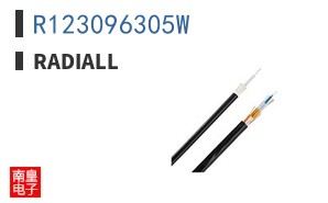 R123096305W ͼƬ