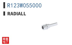 R123W055000 ͼƬ