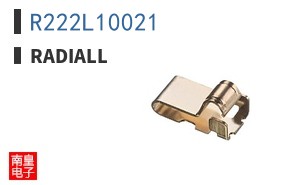 R222L10021 ͼƬ