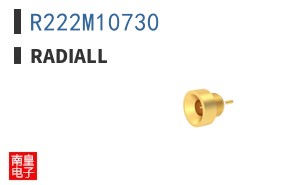 R222M10730 ͼƬ