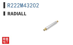 R222M43202 ͼƬ